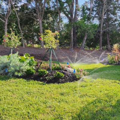Efficient Sprinkler Services
